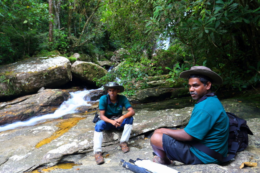 The Rainforest Ecolodge - Sinharaja Deniyaya Exteriör bild